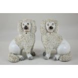 A pair of Staffordshire pottery poodles, 13.5cm high