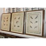 A set of eight late 18th century bird illustrations published by Harrison & Co, dated 1786,