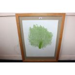 Andrew Carter, monochrome study of a tree in green, colour print, numbered 8/35 and signed in