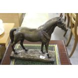 20th cent. Sculpture: Bronze/brass figure of a stallion on stand, unsigned. 13ins x 13ins.