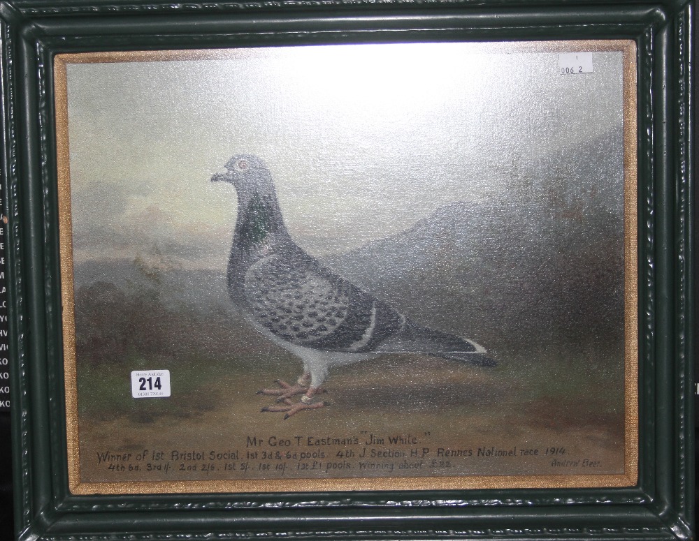 Pigeon Racing Andrew Beer: Oil on canvas, "Jim White" winner of 1st Bristol social 1st 3d and 6d