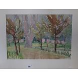 Ellis Family Archive: Rosemary Ellis 1910-1998, watercolour on paper, cherry trees in Corsham,