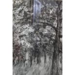 Suzy Miles (Armstrong): Watercolour ink wash "Trees", signed lower right. 40ins. x 29ins.