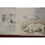 Ellis Family Archive: Clifford & Rosemary Ellis: Ink and colourwash studies of pigs and horses,