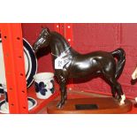 Beswick: Morgan Horse Tarryall Maestro, multiple champion stallion, on treen plinth.