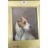 Colin Graeme: O.O. Canvas head portrait of a wire haired white and tan terrier signed lower right