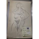 Ellis Family Archive: Clifford Ellis nude studies of Malvina Fraser in pencil x 10 circa July 1933