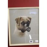 Susan Herbert 1945-2014 Gouache on paper, Boxer dog, signed bottom right, framed and glazed 9½ins. x
