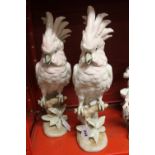 20th cent. Ceramics: Royal Dux porcelain Macaw parrot figurine, a pair 1 x slight chip 16ins.