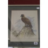 Lesley Anne Ivory: 1934 Watercolour 'A Study of an Eagle', signed lower right. Framed and glazed