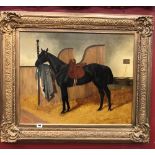 English School: Oil on canvas a study of a black gelding saddled in a stable, unsigned, gilt