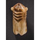 A Carved Jade Cicada, Warring States Period 戰國玉雕蟬 Width 3.1 cm, height 6.2 cm, . 寬 3.1 cm, 高 6.2 cm.