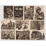 68 Foto-Ansichtskarten aus der Serie "Unsere Waffen-SS" Verschiedene Darstellungen, einige