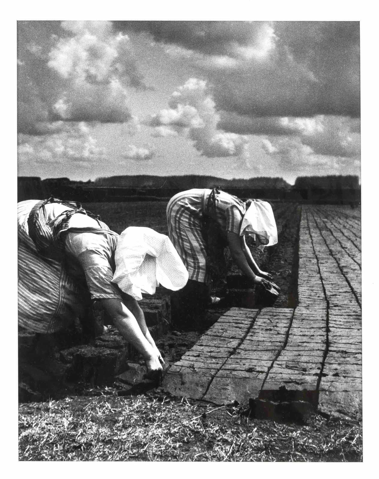 Hans Saebens (1895-1969), "Frauen beim Torfkanten", Fotografie, 1930er Jahre / 1989, auth., liz.