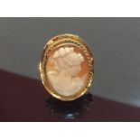 CLASSIC SHELL CAMEO BROOCH MOUNTED IN A 9CT GOLD FRAME.