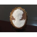 CLASSIC SHELL CAMEO BROOCH IN A 9CT ROSE GOLD MOUNT WITH SAFETY CHAIN AND PIN.