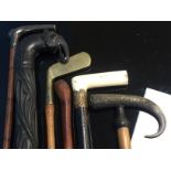 A COLLECTION OF ASSORTED WALKING STICKS TO INCLUDE HORN AND SILVER HANDLED ALONG WITH BRASS HEAD