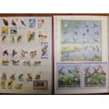 A COLLECTION OF BIRD THEMATICS IN TWO STOCKBOOKS