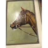 HORSE'S HEAD, OIL ON BOARD,