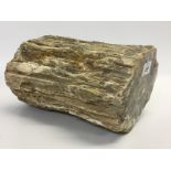 PETRIFIED WOOD SAMPLE WITH POLISHED ENDS