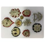 9 ASSORTED CAP BADGES MANY MOUNTED ON FELT