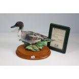 A Peter Scott Crown Staffordshire limited edition model of a Pintail, from the Wildfowl series,