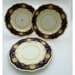 A set of fourteen Royal Worcester bone china 27.5cm diameter plates, each decorated with florally