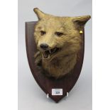 An early 20th century stuffed and mounted fox's head on an oak shield bearing a trade label verso