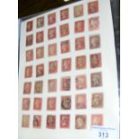 Great Britain Queen Victoria 1d Red Collection on album pages, including shade, centring and other