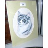 B WEBBER - portrait of a cat - watercolour - oval - 19cm x 15cm
