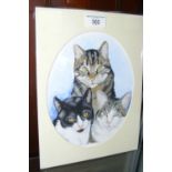B WEBBER - portrait of three moggies - watercolour - oval - 20cm x 17cm