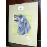B WEBBER - portrait of a dog - watercolour - 15cm x 13cm