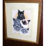 B. WEBBER - watercolour - "Five Cats" - 26cm x 20cm