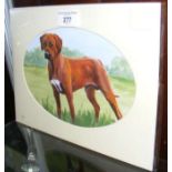 B. WEBBER - portrait of a dog - watercolour - 13cm x 21cm