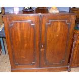 A 19th century mahogany cupboard - 103cm wide