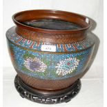 A large Japanese cloisonne/champleve jardiniere - signed to the base, with chrysanthemum design