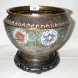 A Japanese cloisonne/champleve jardiniere with chrysanthemum design on carved wood base - 22cm