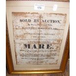 An old Tucker & Pittis Auction Notice - framed and glazed