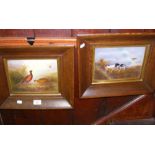 Crown Devon Fieldings hand painted porcelain plaque of pheasants - signed lower right, together with