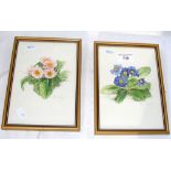 CHARLOTTE FOTHERBY - a pair of original watercolour flower portraits - 20cm x 14cm
