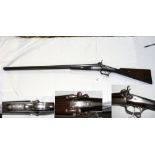A 16-bore pin fire D.B shotgun (obsolete calibre)