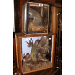 A stuffed bird montage in glazed case, together with a stuffed and mounted Squirrel