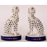 A pair of Staffordshire seated DALMATIAN DOGS on blue lined bases 13.5cm high