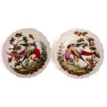 A pair of late 19th Century Chelsea type creamware CABINET PLATES the centres painted colourful