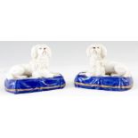 A PAIR OF EARLY TO MID 19TH CENTURY COALPORT TYPE PORCELAIN SEATED POODLE DOGS on blue gilt lined