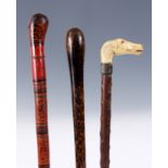 A SET OF THREE EARLY 20TH CENTURY WALKING STICKS comprising a Horse Head bakelite light handle
