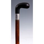 AN EARLY 20th CENTURY HORN HANDLED WALKING CANE with silver collar and tapering hardwood stick