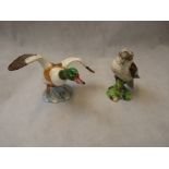 Beswick Mallard with outstretched wings marked 994 and a Beswick Kookaburra marked 1159, Condition -