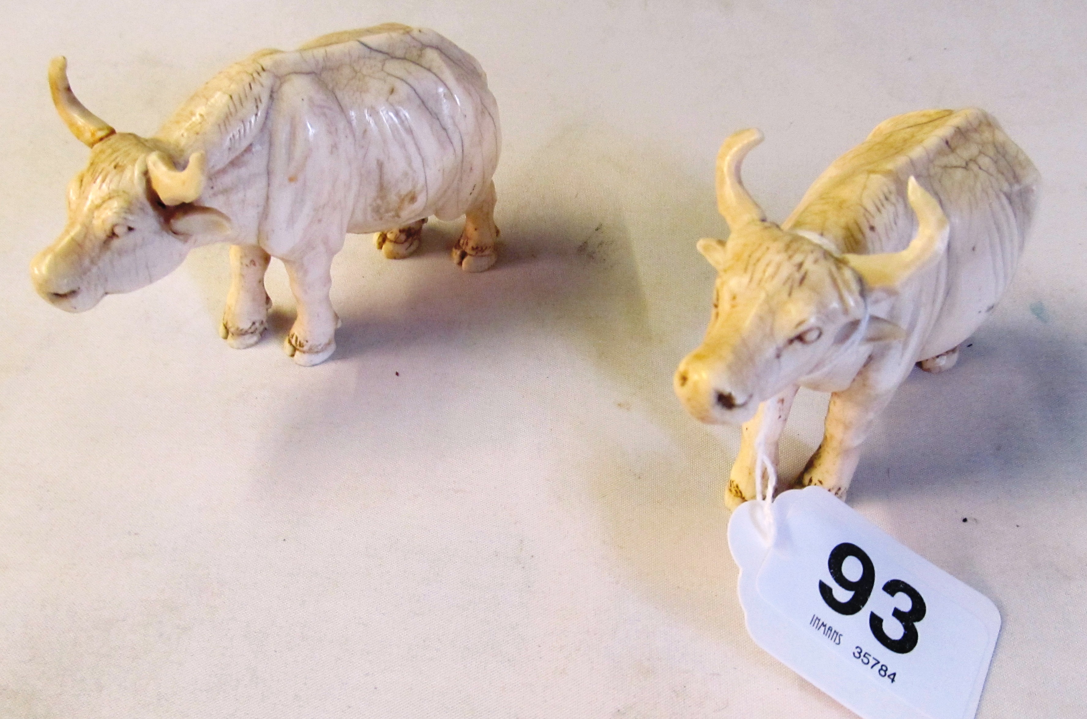 A pair of 19th Century ivory oxen (sa/f)