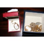 Gold jewellery, including brooches, Cameo necklaces